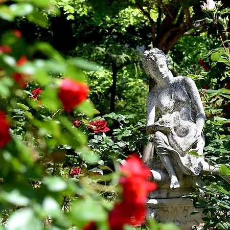 Отель Estreya Palace