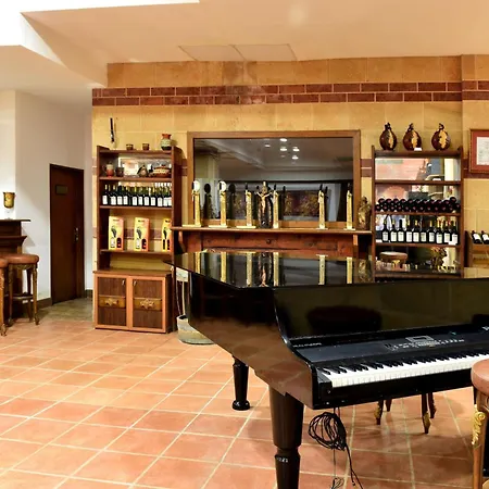 Hotel Estreya Palace