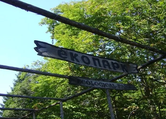 Hotel Estreya Palace Sweti Konstantin i Sweta Elena